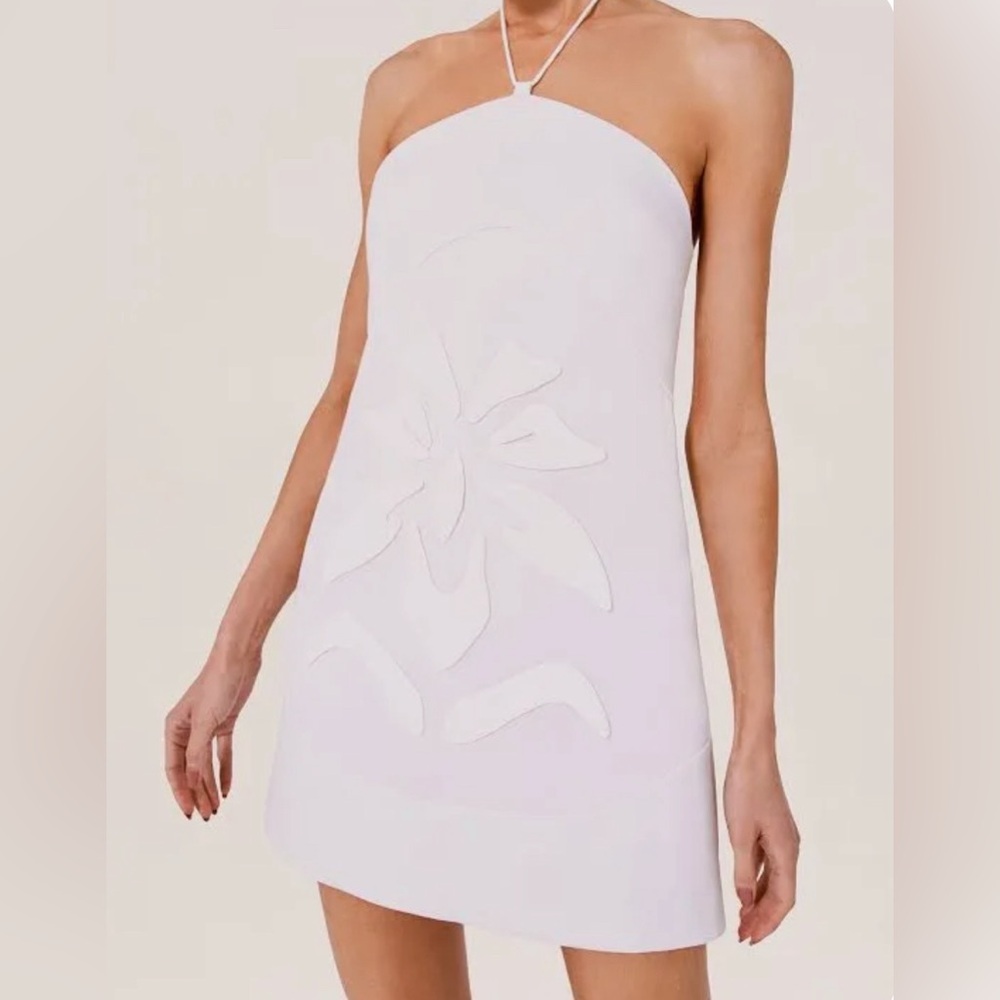 Alexis Dwaine Mini Dress